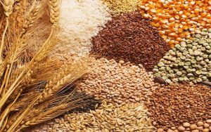 National Food for Work Programme