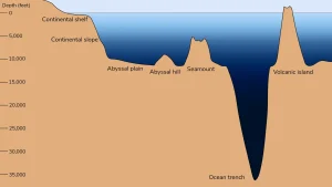 Abyssal Plain