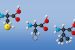 Amino Acids