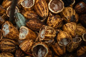 Cocoa