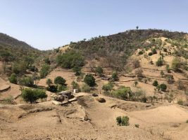 Provision of Urban Amenities to Rural Areas (PURA)