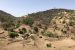 Provision of Urban Amenities to Rural Areas (PURA)