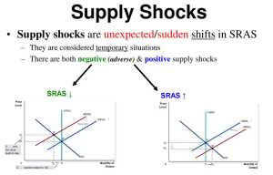 Supply Shock