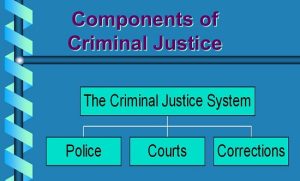 Criminal Justice