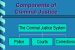 Criminal Justice