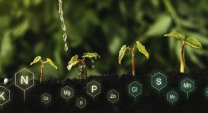 Integrated Nutrient Management