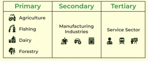 Sectors in Economy