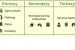 Sectors in Economy