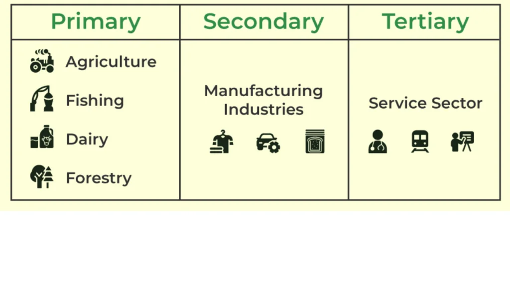 Sectors in Economy