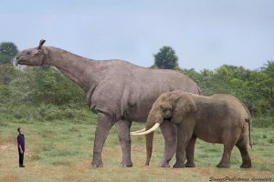 Largest Land Animals