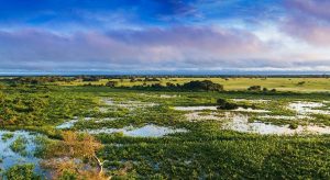 Largest Wetland