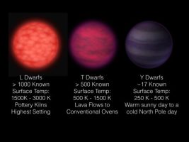 T Dwarfs