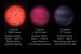 T Dwarfs