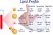 Lipid Profile