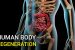 Human Organ Regeneration