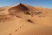 Sahara Desert
