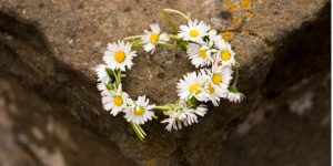 Daisy chain