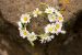 Daisy chain