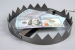 Bear Trap