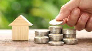 Broad based Fund (sub account)