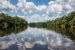 Congo Basin
