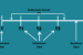 Settlement Period