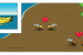 Speciation