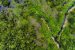 Tropical Peatlands