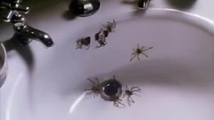 Arachnophobia