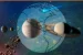 Largest satellite of the Solar System