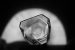 Seed Crystal