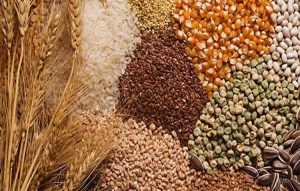 Food grains production in India
