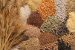 Seed production in India