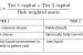 Tier I and Tier II Capital