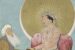 12 Decrees of Jahangir