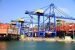 Assistance to States for Developing Export Infrastructure and Allied Activities