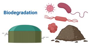 Biodegradation