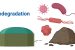 Biodegradation