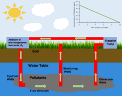 Bioremediation