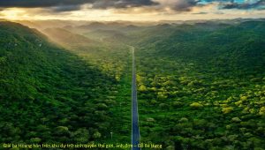 Biosphere Reserves