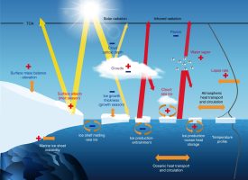 Climate Feedback and Polar Amplification