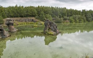 Cultural eutrophication