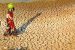 Desertification in India