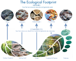 Ecological Deficit