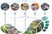 Ecological Deficit