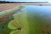 Eutrophication