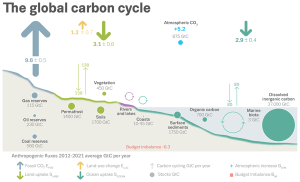 Global Carbon Budget