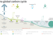 Global Carbon Budget