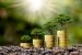 Green Investing