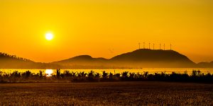 India and Green Investing